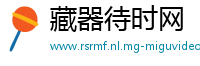 藏器待时网